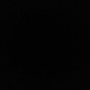 Meet your Posher, Abigail